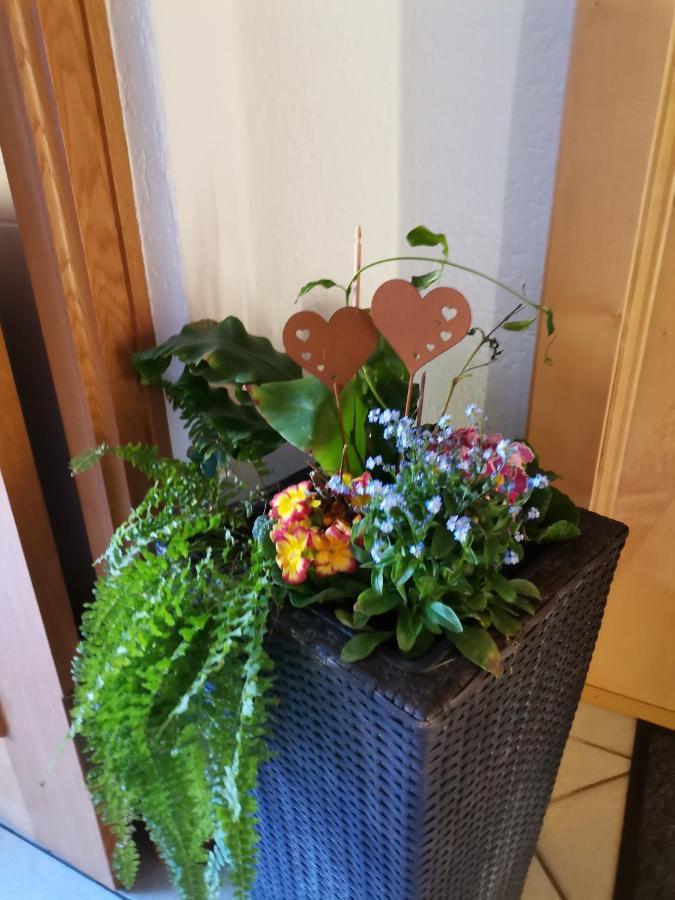 Ferienwohnung Hohe Wand Heiligenblut Esterno foto
